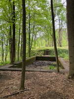 IMG 9630
