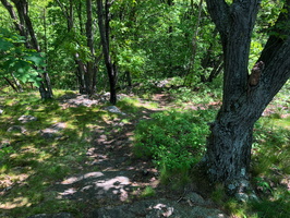 IMG 9856