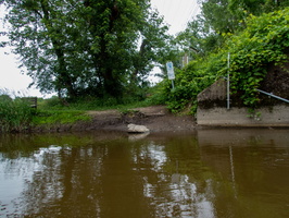 Wallkill from Oil Slick Road 6-12-21