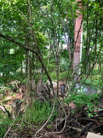 IMG 0205
