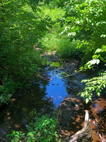 IMG 0216