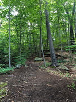 IMG 0219