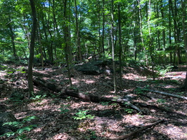 IMG 0245