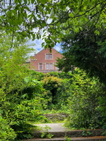 IMG 0287