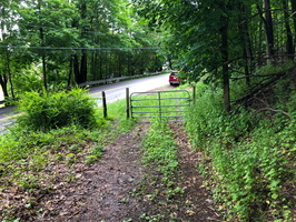 IMG 0022