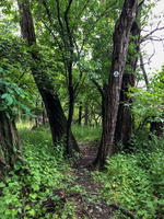 IMG 0040