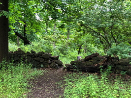 IMG 0044 2