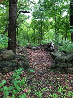 IMG 0045
