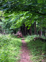 IMG 0053