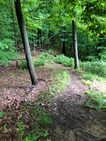 IMG 0061