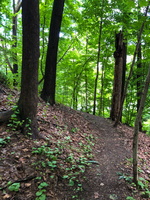 IMG 0062 2