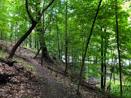 IMG 0063