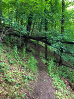 IMG 0064