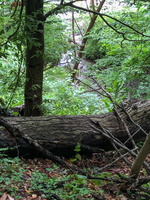 IMG 0067