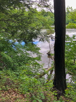 IMG 0069