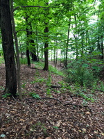 IMG 0071