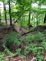 IMG 0073