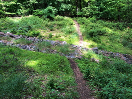 IMG 0074