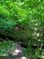 IMG 0077