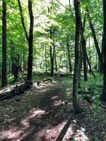 IMG 0088