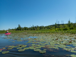 P6177615