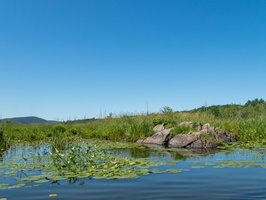 P6177617