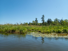 P6177619