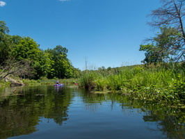 P6177631