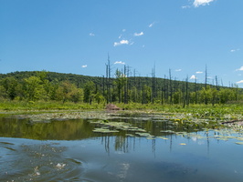 P6177643