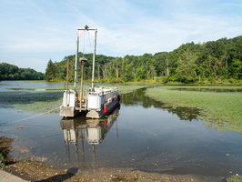 P6197644