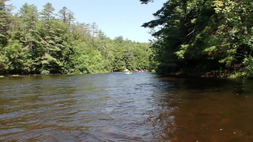 P7107833