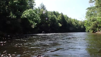 P7107837