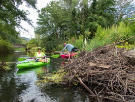 Black Creek 8-5-21