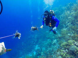 Lionfish Hunting