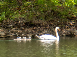 5-12-22 Wappingers Lake