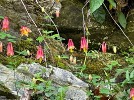 5-14-22 Wappingers Lake