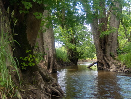 6-9-22 Wallkill River at Oil City Road