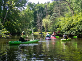 6-11-22 Great Swamp Far South