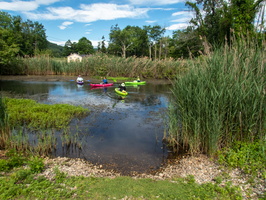 6-18-22 Great Swamp Far North