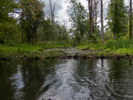 P6239838