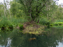 P6239839