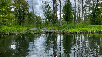 6-23-22 Great Swamp North