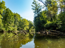 P6309848