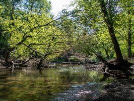 P6309855