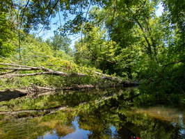 6-30-22 Fishkill Creek from Beacon