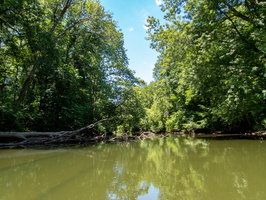 P6309867
