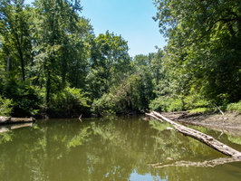 P6309869