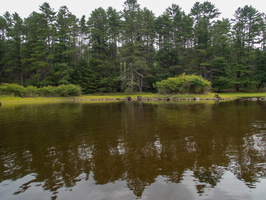 P7160019