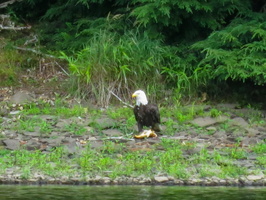 7-16-22 Mongaup Falls Reservoir