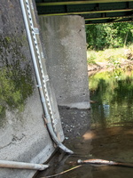P7149978